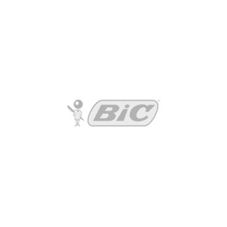 Client BIC Logo
