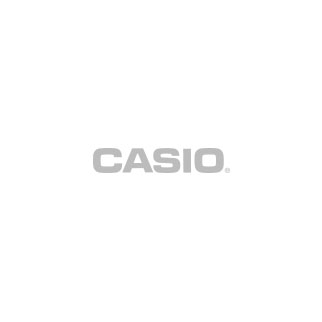 Client Casio Logo