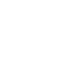 State of Connecticut Governor Seal